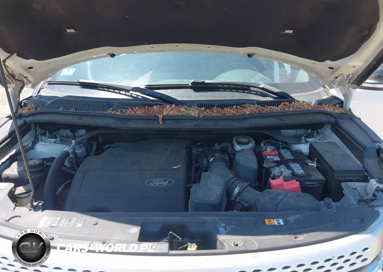 2013 Ford Explorer Xlt VIN:1FM5K8D83DGC66491 - 10