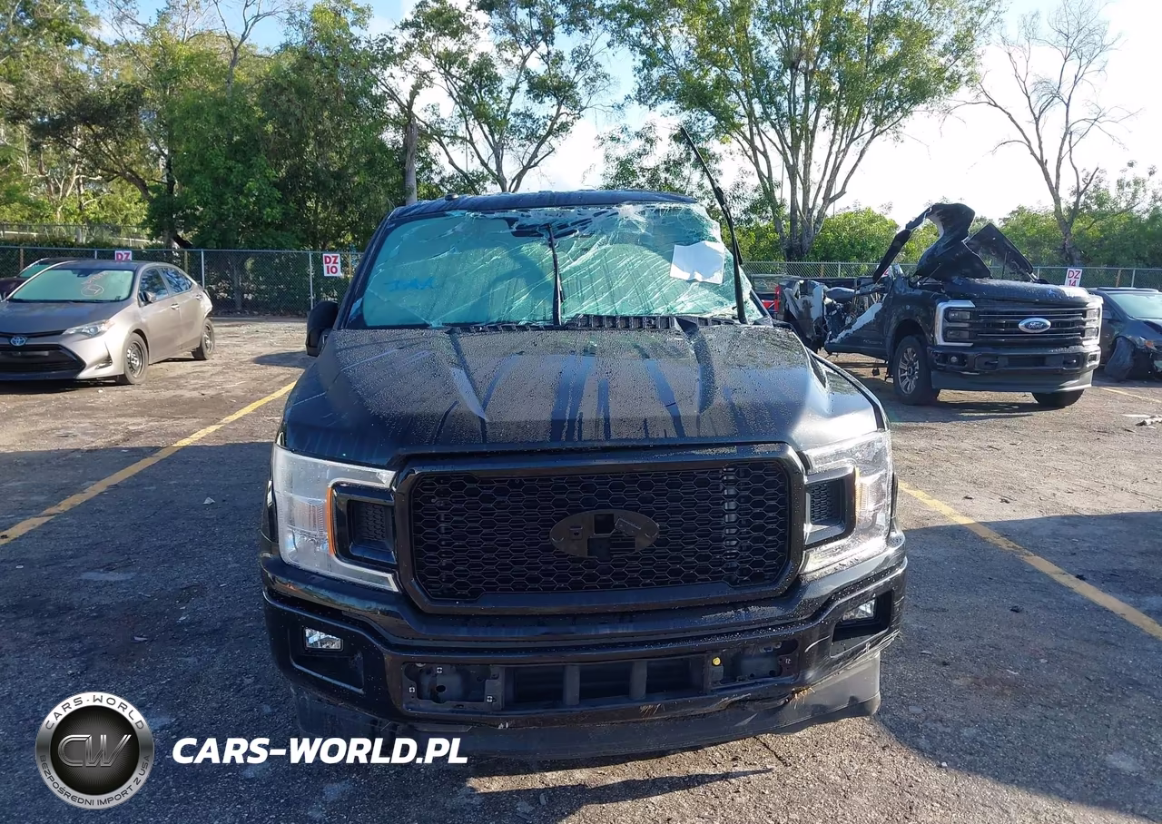 2019 Ford F-150 Xl VIN:1FTEW1CP6KKE04091 - 12