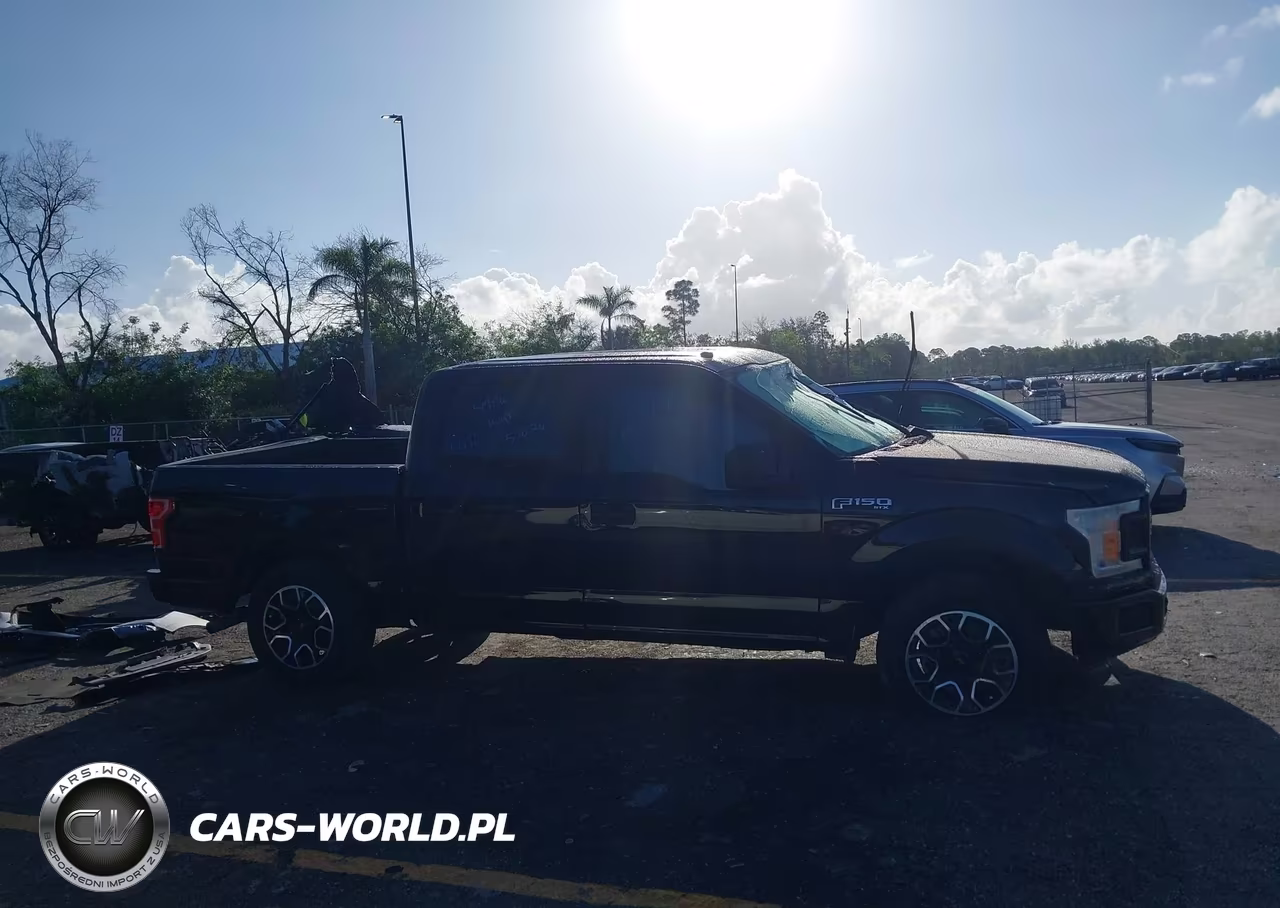 2019 Ford F-150 Xl VIN:1FTEW1CP6KKE04091 - 13