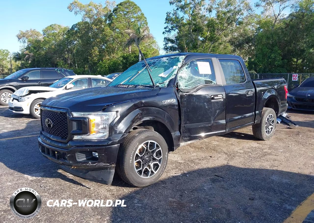 2019 Ford F-150 Xl VIN:1FTEW1CP6KKE04091 - 2