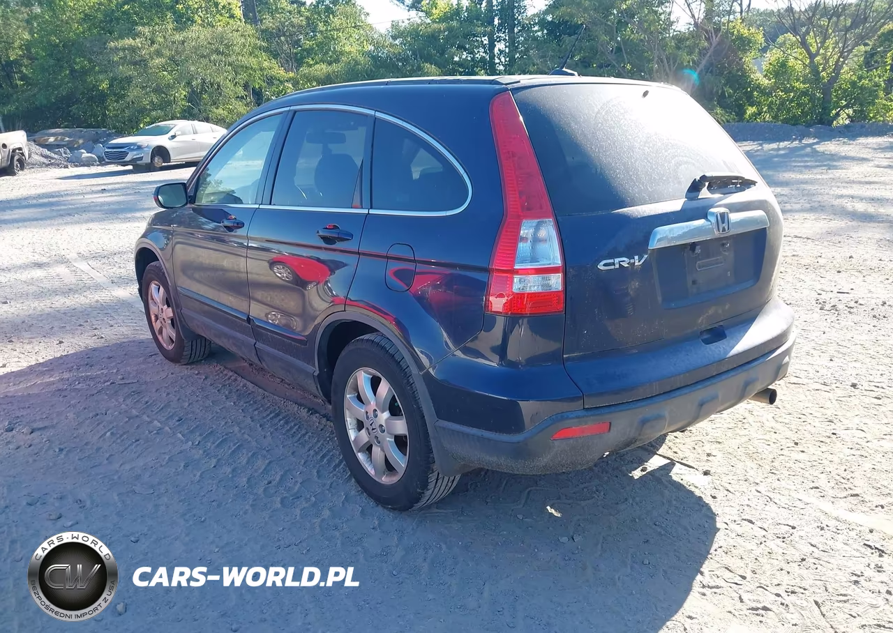 2009 Honda Cr-V Ex-L VIN:JHLRE48789C016558 - 3