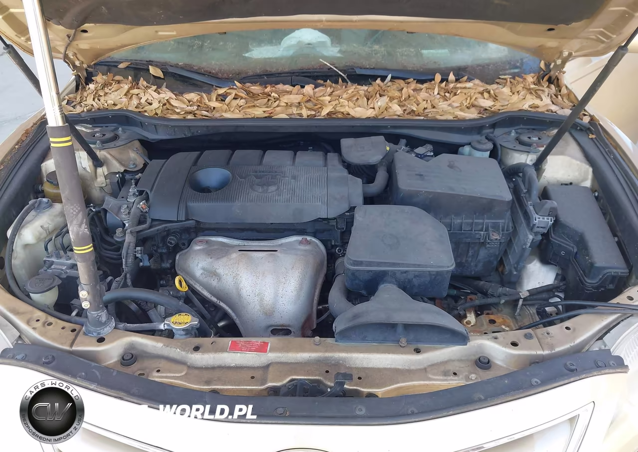 2011 Toyota Camry Le VIN:4T1BF3EK5BU696199 - 10
