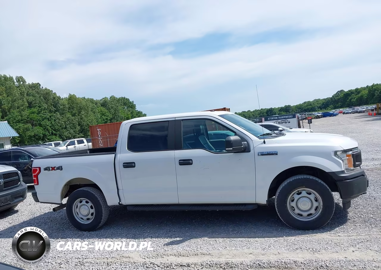 2019 Ford F-150 Xl VIN:1FTEW1EP6KKD85541 - 14
