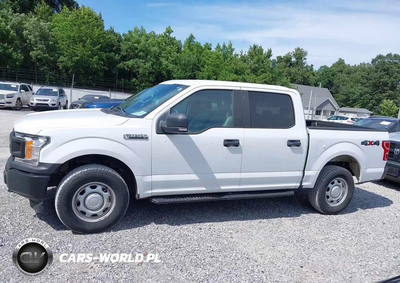 2019 Ford F-150 Xl VIN:1FTEW1EP6KKD85541 - 15