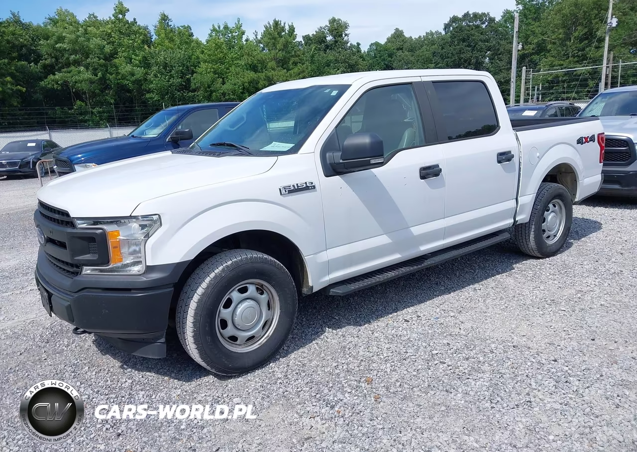 2019 Ford F-150 Xl VIN:1FTEW1EP6KKD85541 - 2