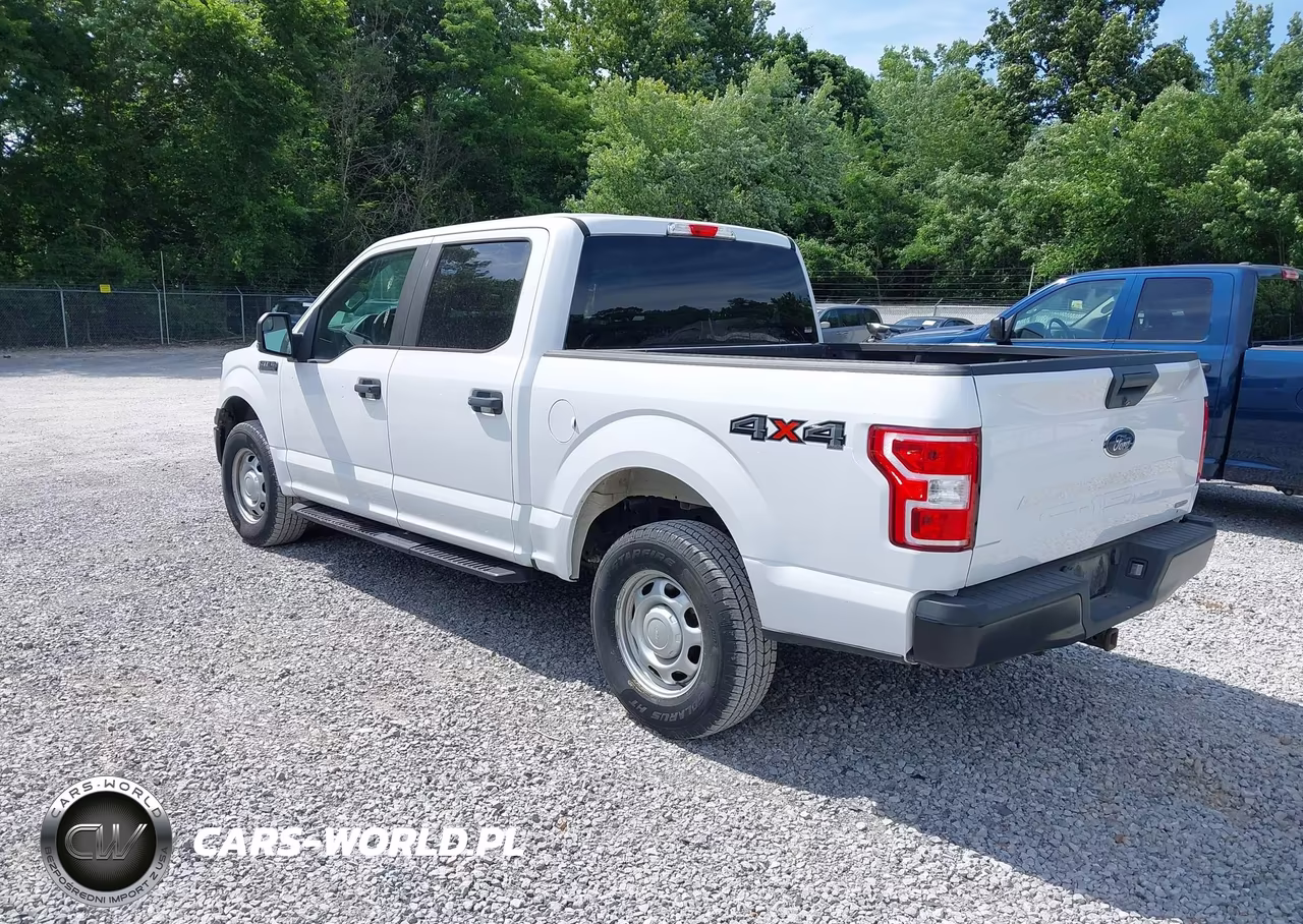 2019 Ford F-150 Xl VIN:1FTEW1EP6KKD85541 - 3