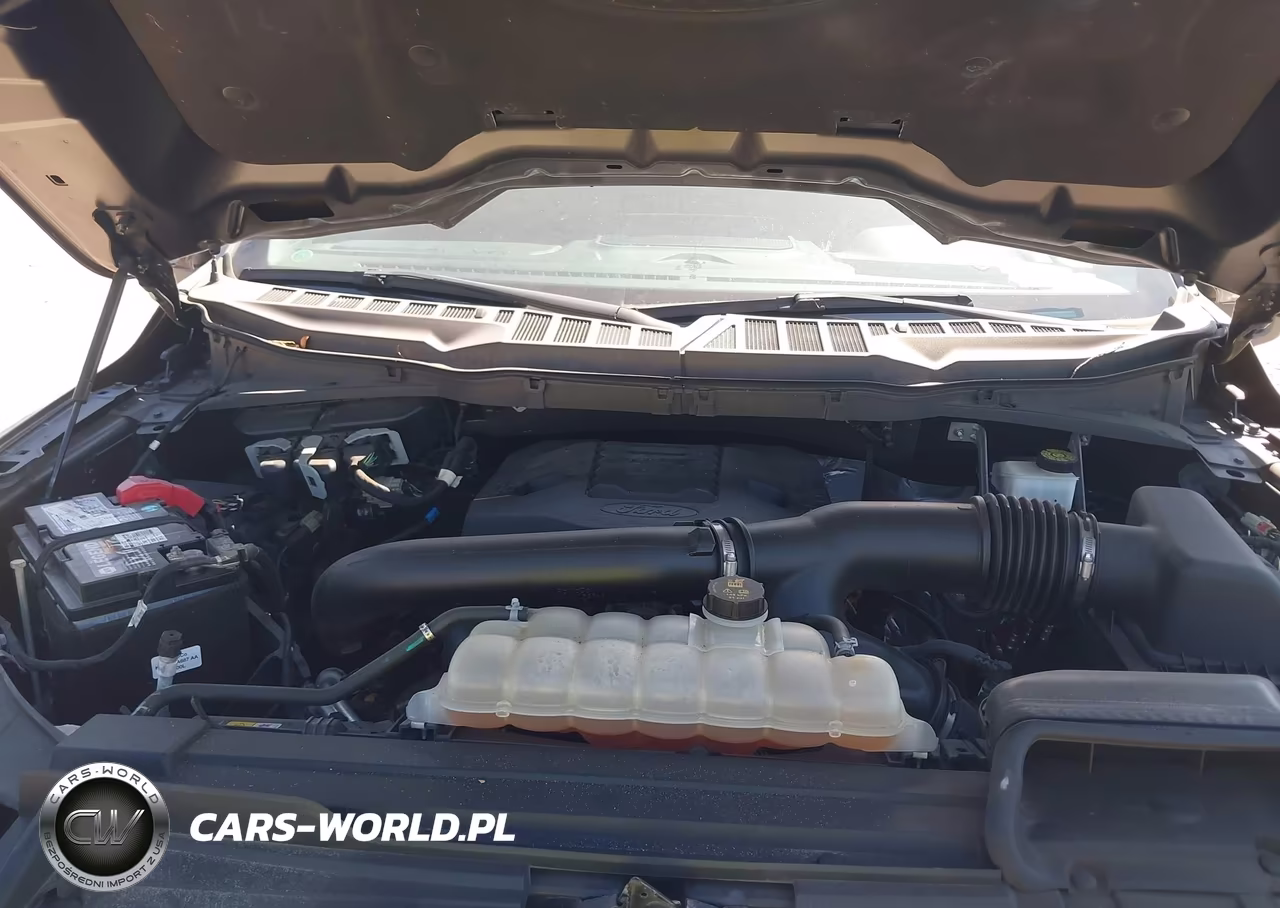 2021 Ford F-150 Xlt VIN:1FTEW1C88MFA38719 - 10