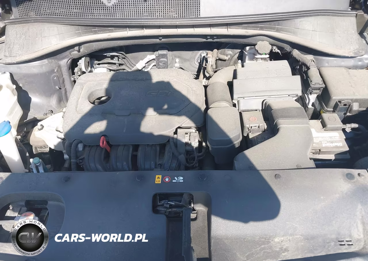 2018 Kia Sorento 2.4L Lx VIN:5XYPGDA35JG361584 - 10