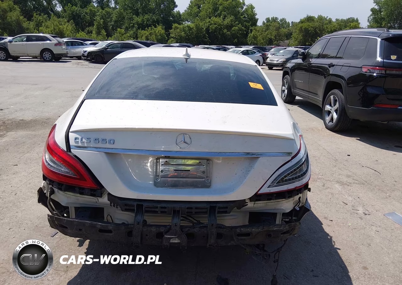 2014 Mercedes-Benz Cls 550 VIN:WDDLJ7DB9EA091484 - 16