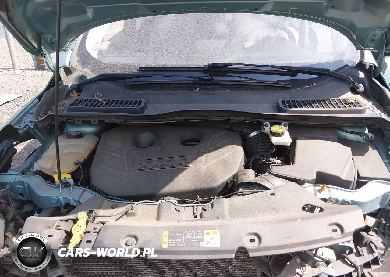 2013 Ford Escape Sel VIN:1FMCU9H93DUC18226 - 10