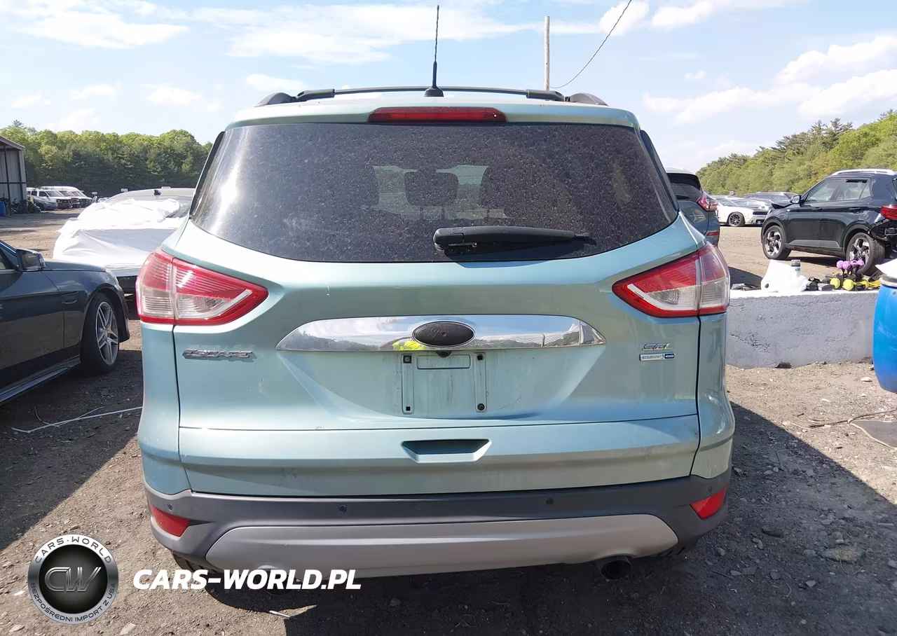 2013 Ford Escape Sel VIN:1FMCU9H93DUC18226 - 17