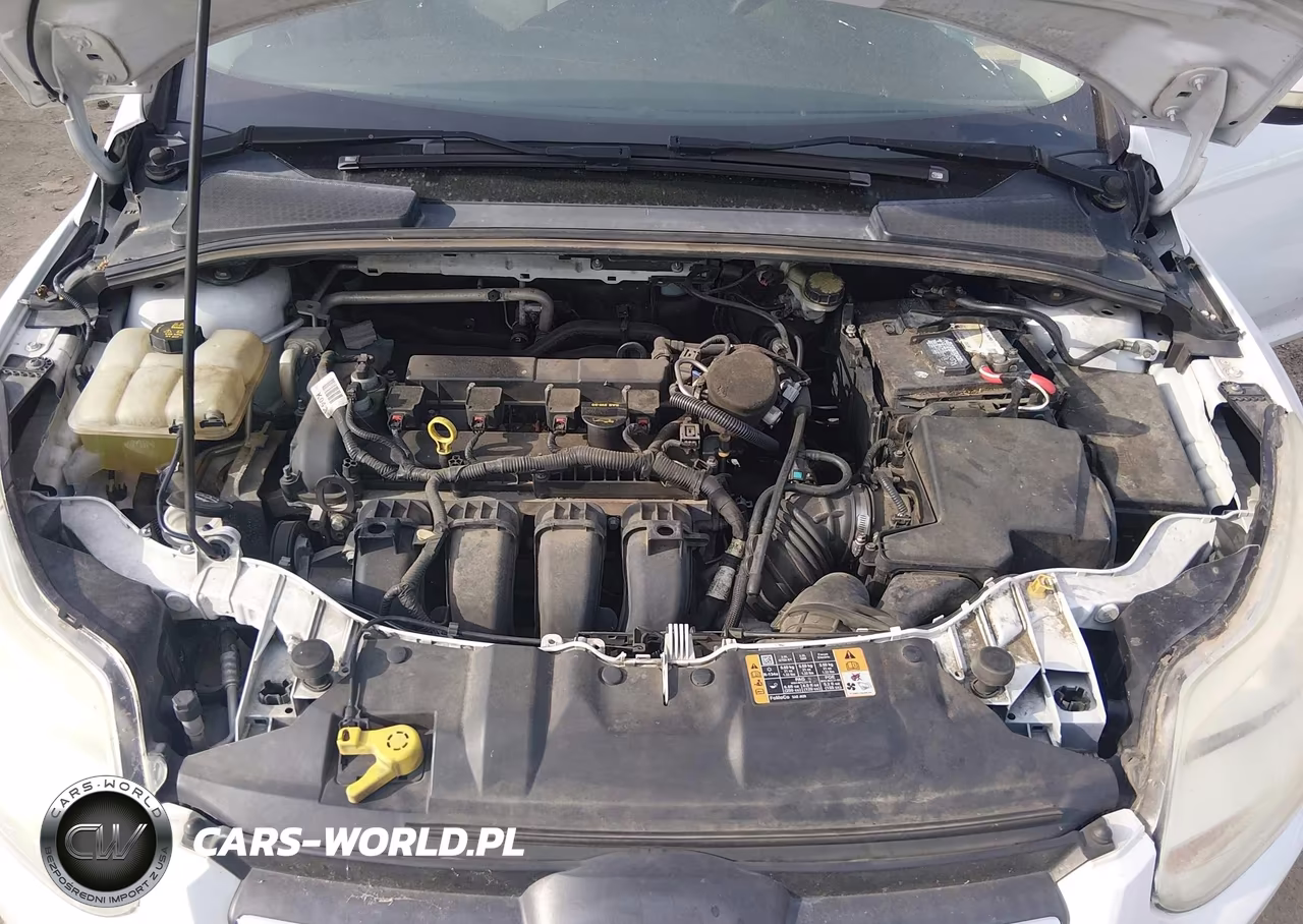 2014 Ford Focus Se VIN:1FADP3F21EL304599 - 10