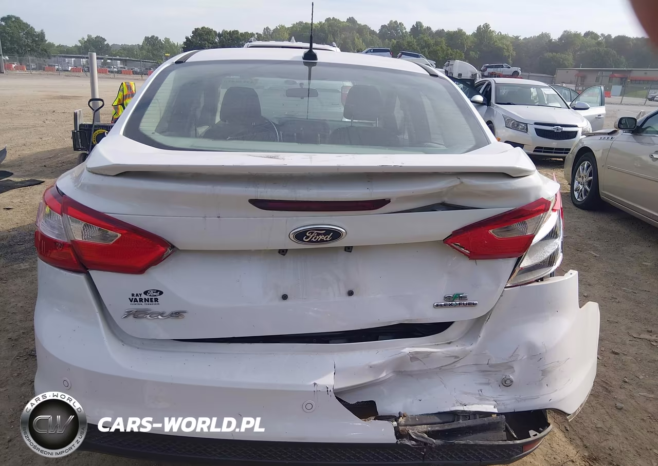2014 Ford Focus Se VIN:1FADP3F21EL304599 - 17