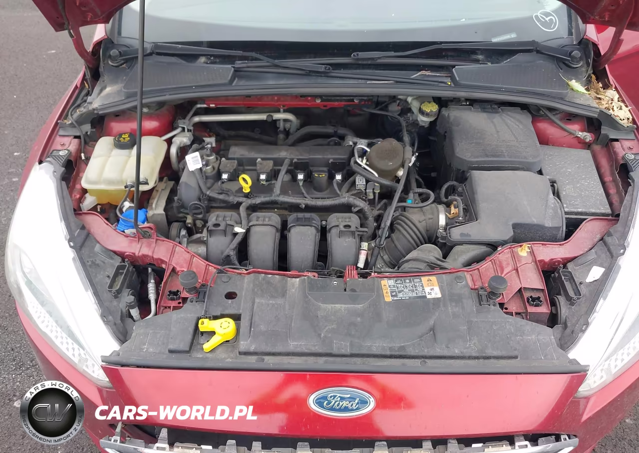 FORD FOCUS VIN:1FADP3F21FL287398 - 10