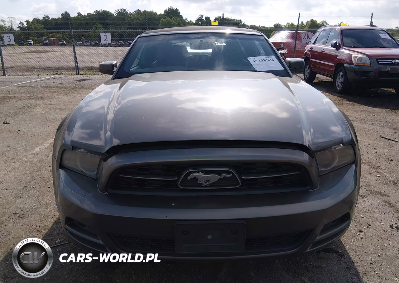 2013 Ford Mustang V6 Premium VIN:1ZVBP8EM7D5220496 - 12