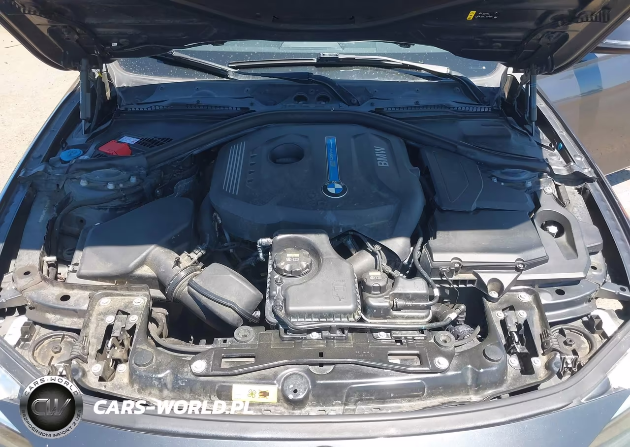 2017 BMW 330E Iperformance VIN:WBA8E1C30HA158888 - 10