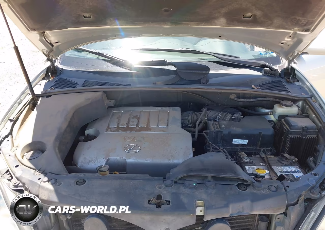 2007 Lexus Rx 350 VIN:2T2HK31U37C011988 - 10