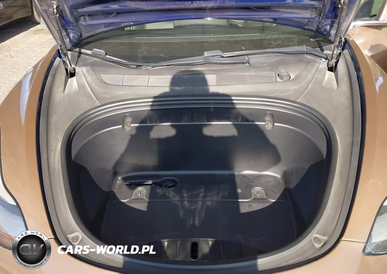 2020 Tesla Model 3 Standard Range Plus Rear-Wheel Drive-Standard Range Rear-Wheel Drive VIN:5YJ3E1EA6LF708894 - 10