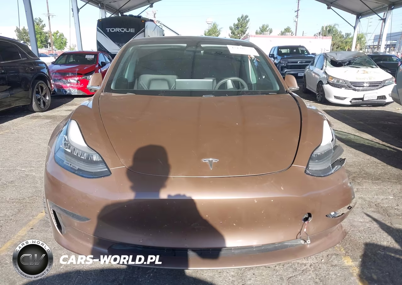 2020 Tesla Model 3 Standard Range Plus Rear-Wheel Drive-Standard Range Rear-Wheel Drive VIN:5YJ3E1EA6LF708894 - 11