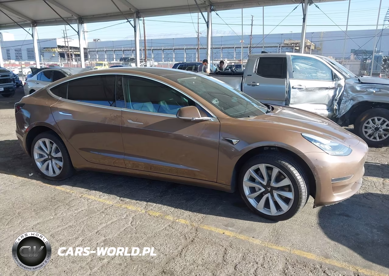2020 Tesla Model 3 Standard Range Plus Rear-Wheel Drive-Standard Range Rear-Wheel Drive VIN:5YJ3E1EA6LF708894 - 12