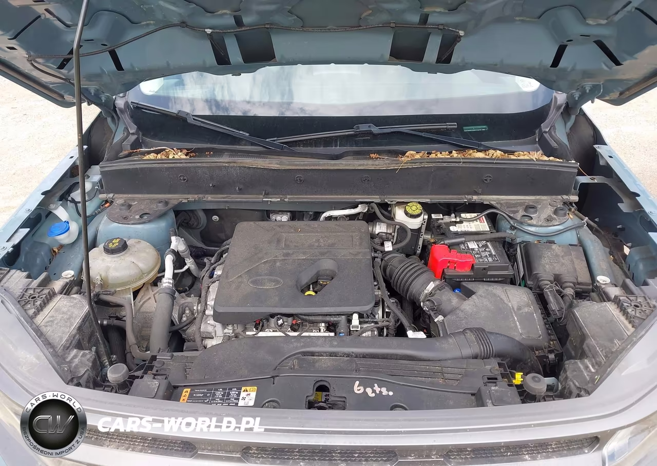 2021 Ford Bronco Sport Big Bend VIN:3FMCR9B64MRA18673 - 10