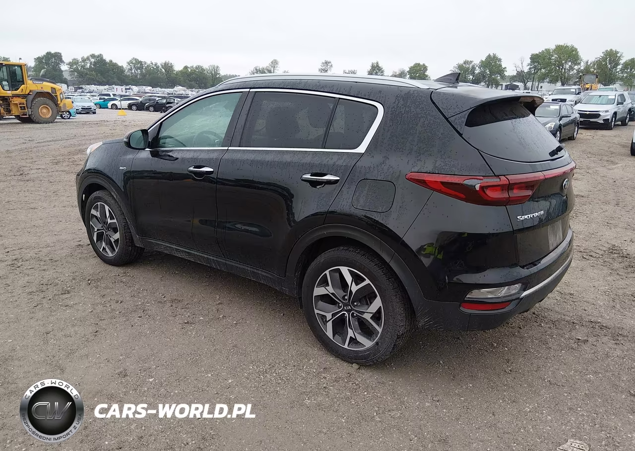 2020 Kia Sportage Ex VIN:KNDPNCAC9L7804111 - 3