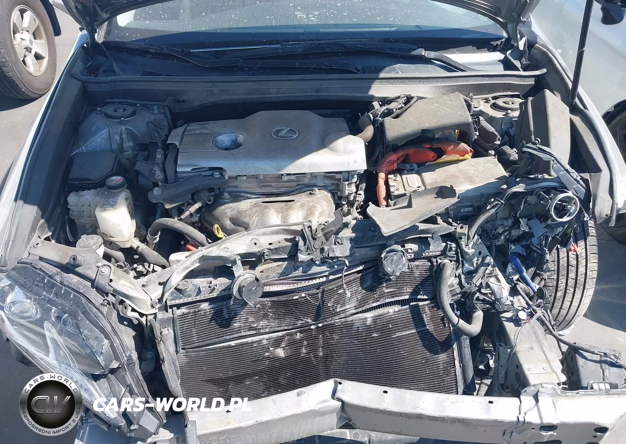 2018 Lexus Es 300H VIN:JTHBW1GG7J2188973 - 10