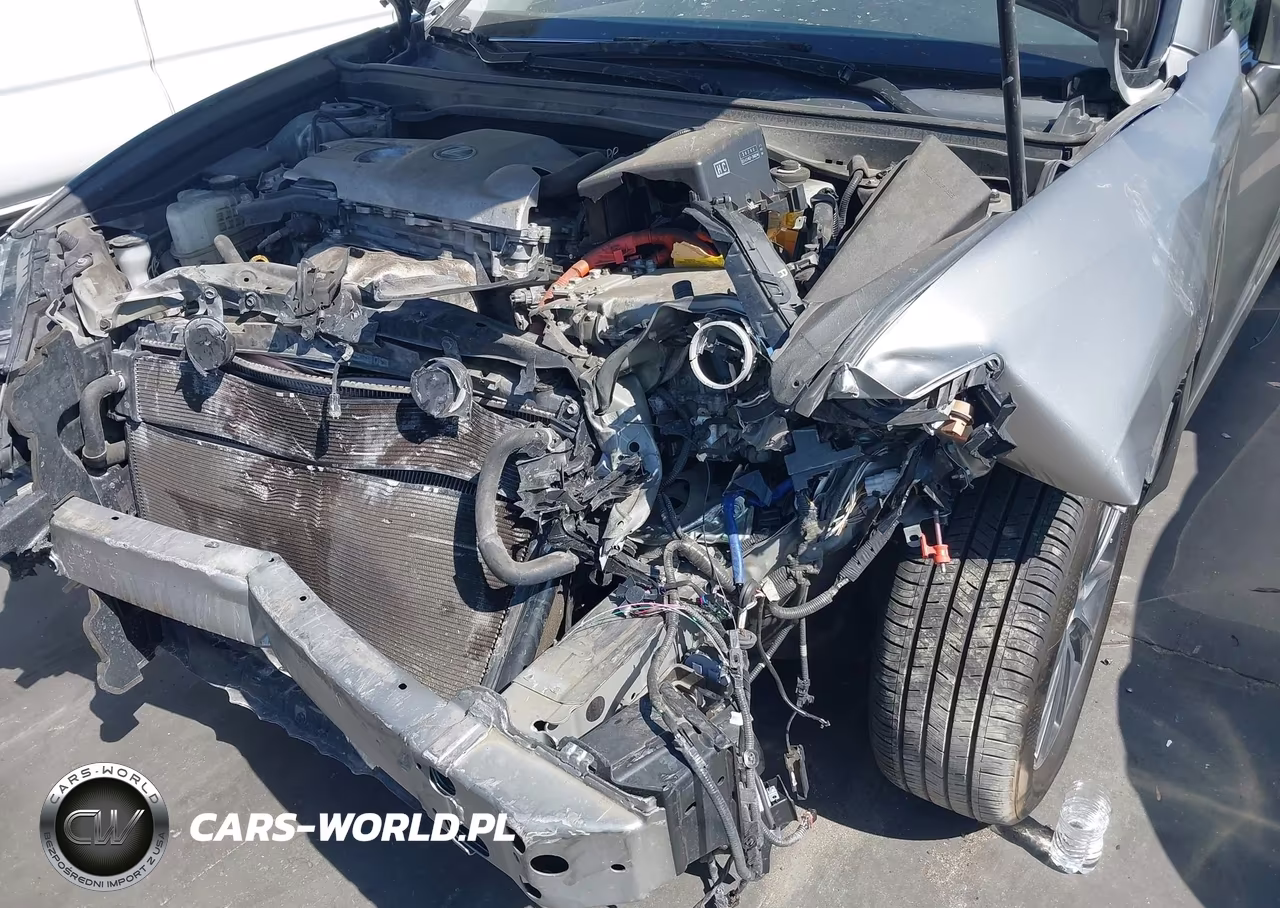 2018 Lexus Es 300H VIN:JTHBW1GG7J2188973 - 19