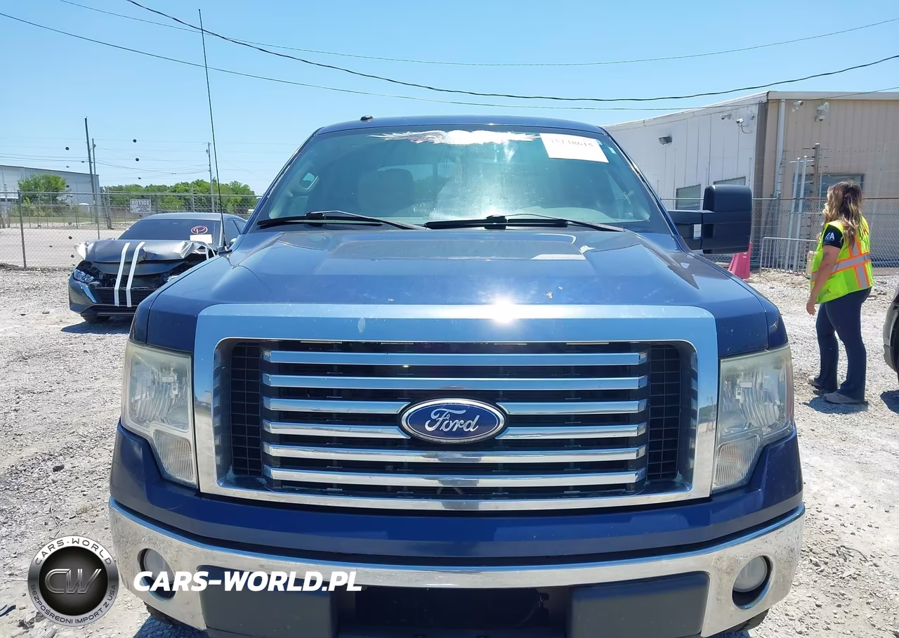 2010 Ford F-150 Fx4-Harley-Davidson-King Ranch-Lariat-Platinum-Xl-Xlt VIN:1FTFW1EV3AFC00923 - 12