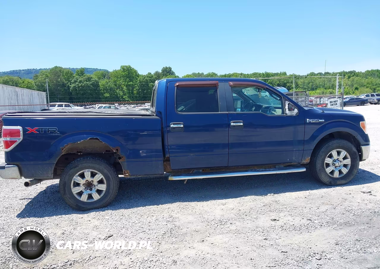 2010 Ford F-150 Fx4-Harley-Davidson-King Ranch-Lariat-Platinum-Xl-Xlt VIN:1FTFW1EV3AFC00923 - 13