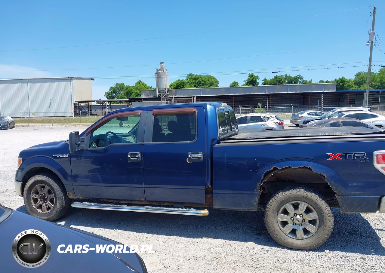 2010 Ford F-150 Fx4-Harley-Davidson-King Ranch-Lariat-Platinum-Xl-Xlt VIN:1FTFW1EV3AFC00923 - 14