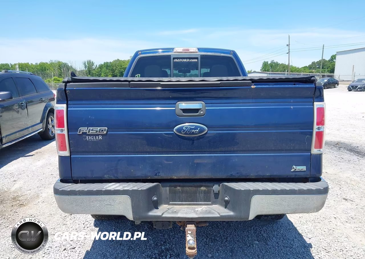 2010 Ford F-150 Fx4-Harley-Davidson-King Ranch-Lariat-Platinum-Xl-Xlt VIN:1FTFW1EV3AFC00923 - 16