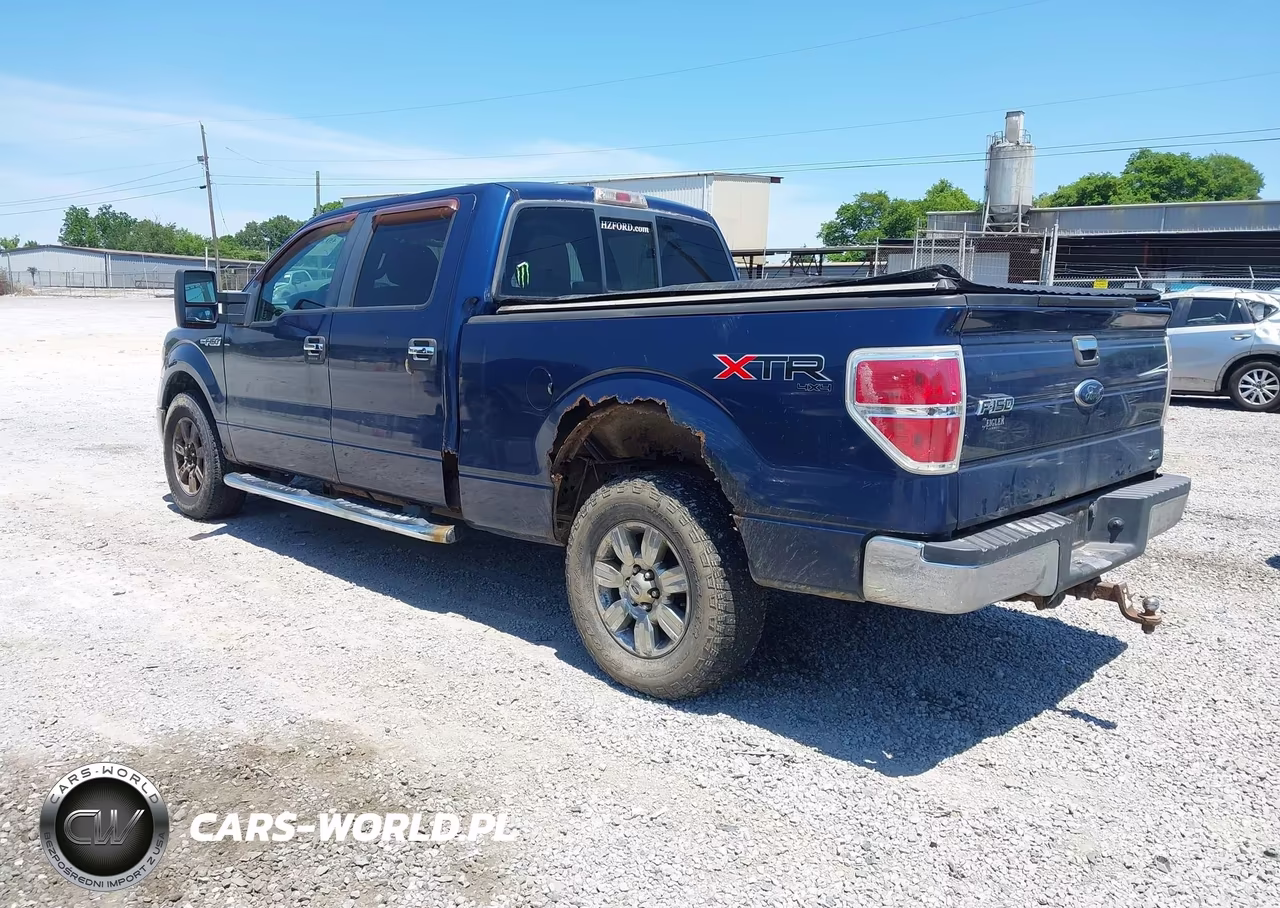 2010 Ford F-150 Fx4-Harley-Davidson-King Ranch-Lariat-Platinum-Xl-Xlt VIN:1FTFW1EV3AFC00923 - 3