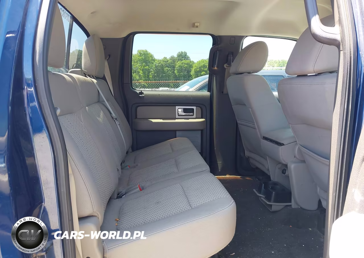 2010 Ford F-150 Fx4-Harley-Davidson-King Ranch-Lariat-Platinum-Xl-Xlt VIN:1FTFW1EV3AFC00923 - 8
