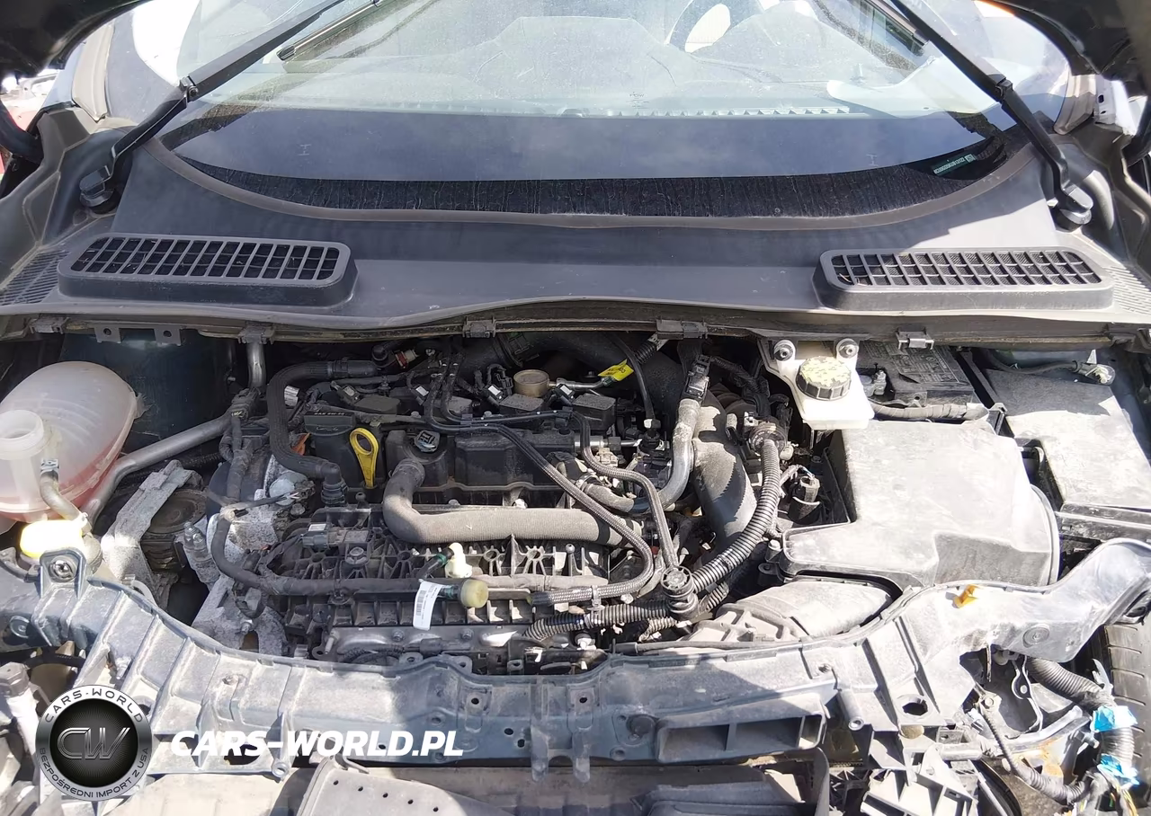 2019 Ford Escape Se VIN:1FMCU0GD5KUB13122 - 10