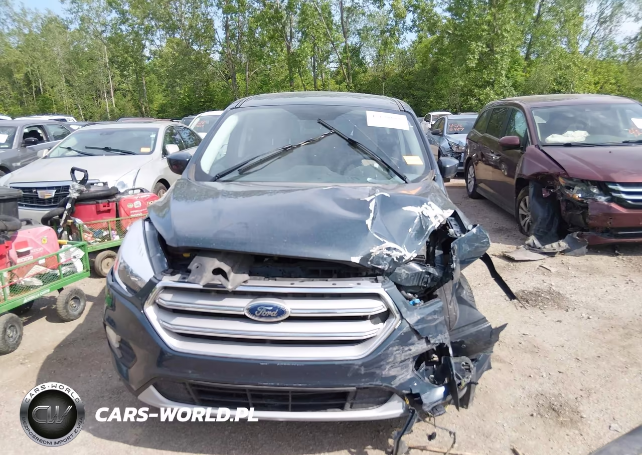 2019 Ford Escape Se VIN:1FMCU0GD5KUB13122 - 11