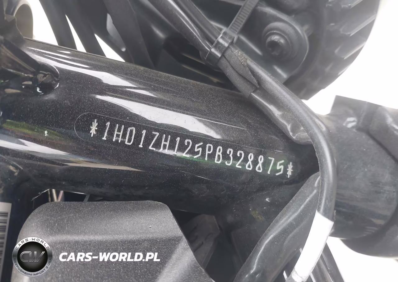 2023 Harley-Davidson Rh975 VIN:1HD1ZH125PB328875 - 10