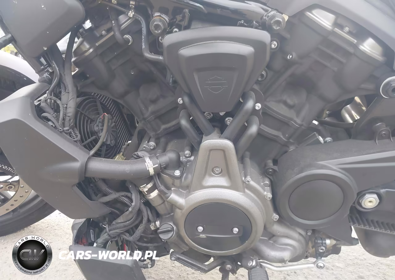 2023 Harley-Davidson Rh975 VIN:1HD1ZH125PB328875 - 9