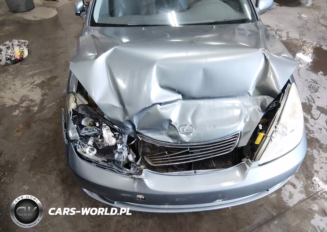 2005 Lexus Es 330 VIN:JTHBA30G655119670 - 18