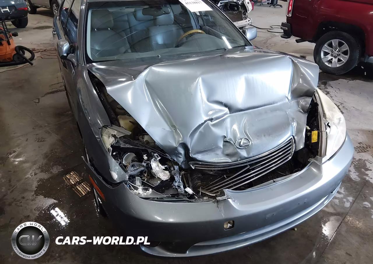 2005 Lexus Es 330 VIN:JTHBA30G655119670 - 6