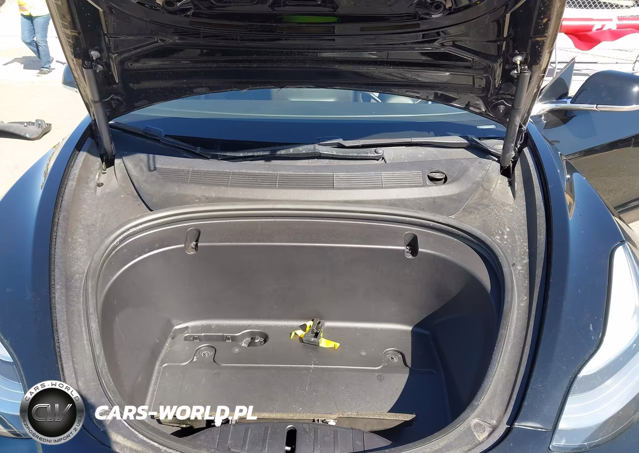 2020 Tesla Model 3 Standard Range Plus Rear-Wheel Drive-Standard Range Rear-Wheel Drive VIN:5YJ3E1EA8LF630098 - 10