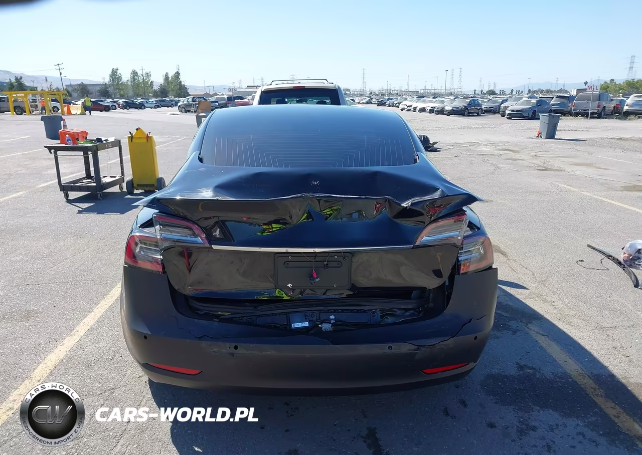 2020 Tesla Model 3 Standard Range Plus Rear-Wheel Drive-Standard Range Rear-Wheel Drive VIN:5YJ3E1EA8LF630098 - 17