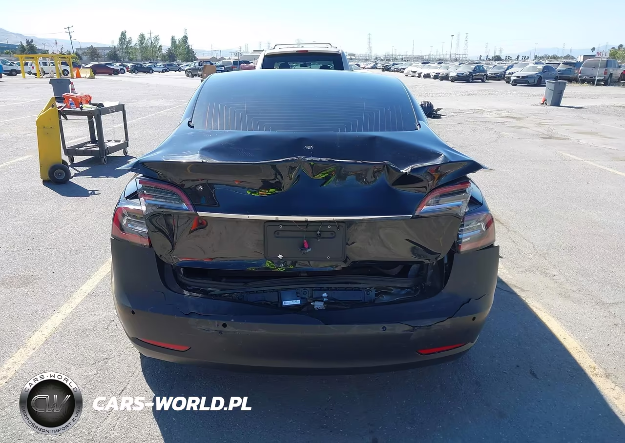 2020 Tesla Model 3 Standard Range Plus Rear-Wheel Drive-Standard Range Rear-Wheel Drive VIN:5YJ3E1EA8LF630098 - 6