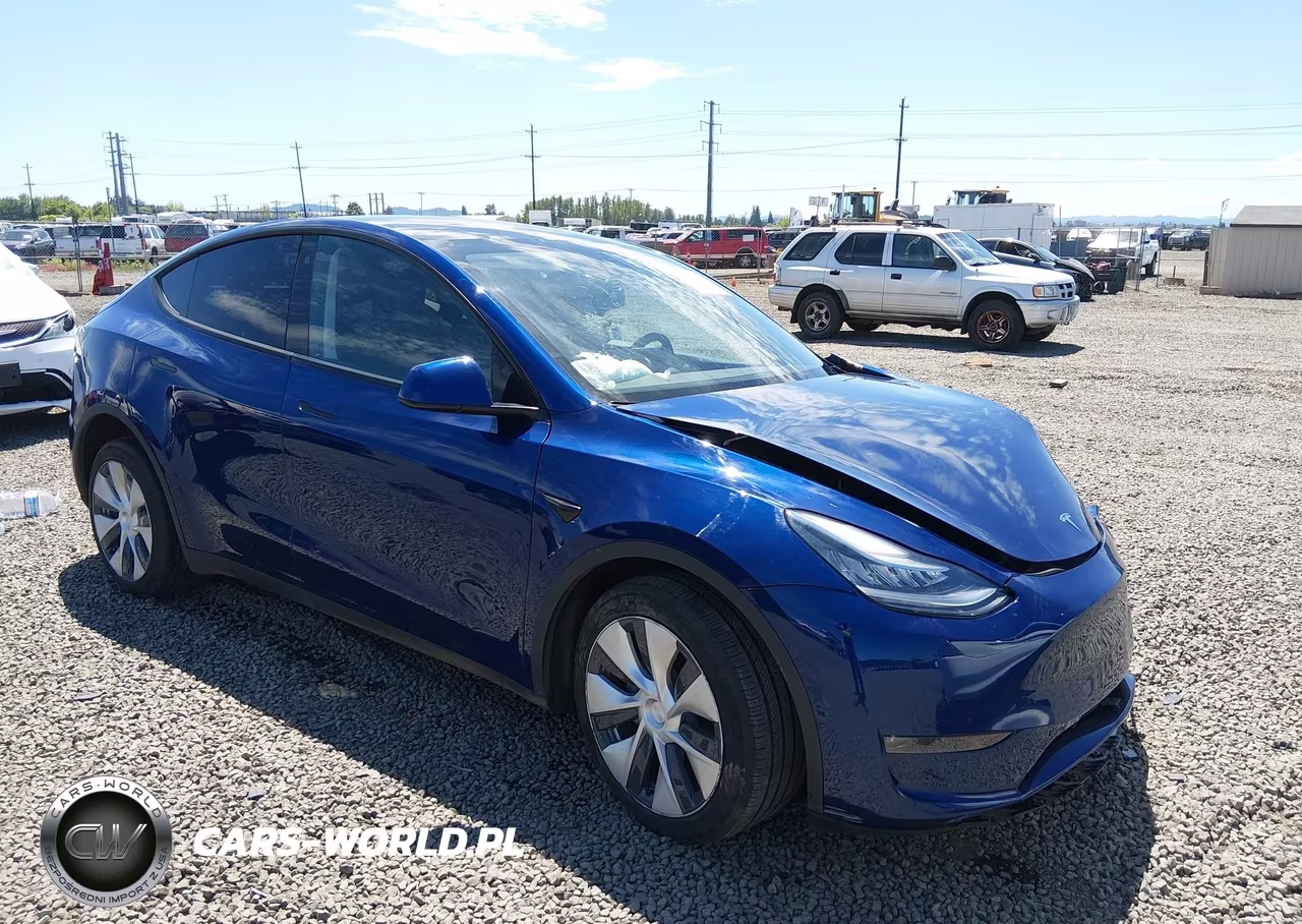 2020 Tesla Model Y Long Range Dual Motor All-Wheel Drive