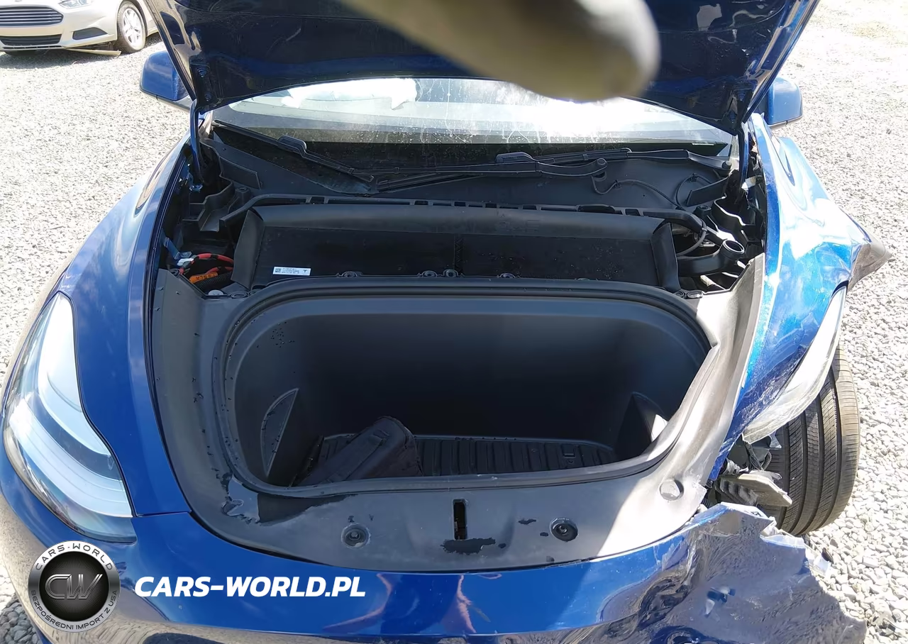 2020 Tesla Model Y Long Range Dual Motor All-Wheel Drive VIN:5YJYGDEE7LF009083 - 10