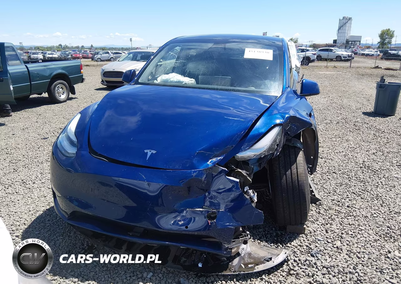 2020 Tesla Model Y Long Range Dual Motor All-Wheel Drive VIN:5YJYGDEE7LF009083 - 13