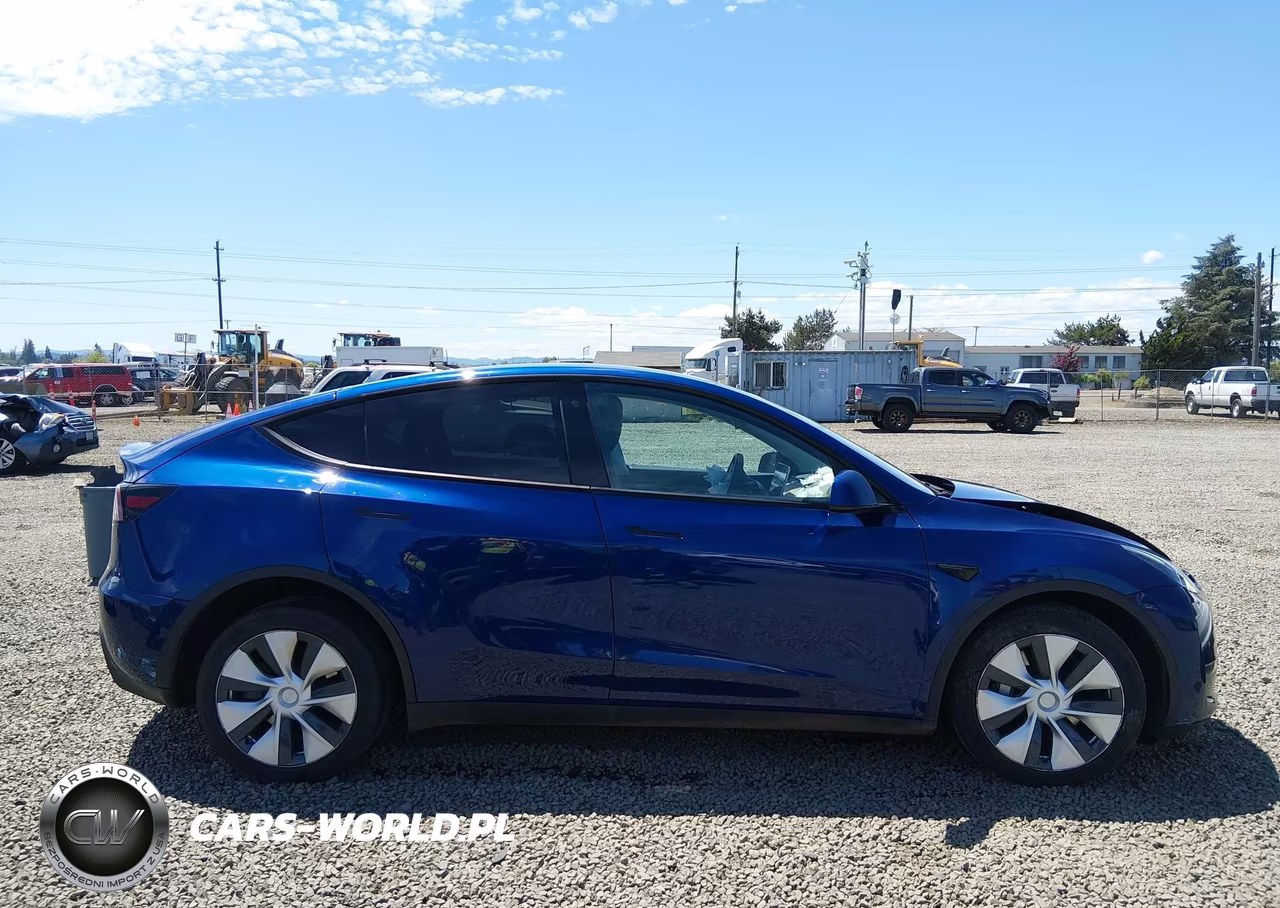 2020 Tesla Model Y Long Range Dual Motor All-Wheel Drive VIN:5YJYGDEE7LF009083 - 14
