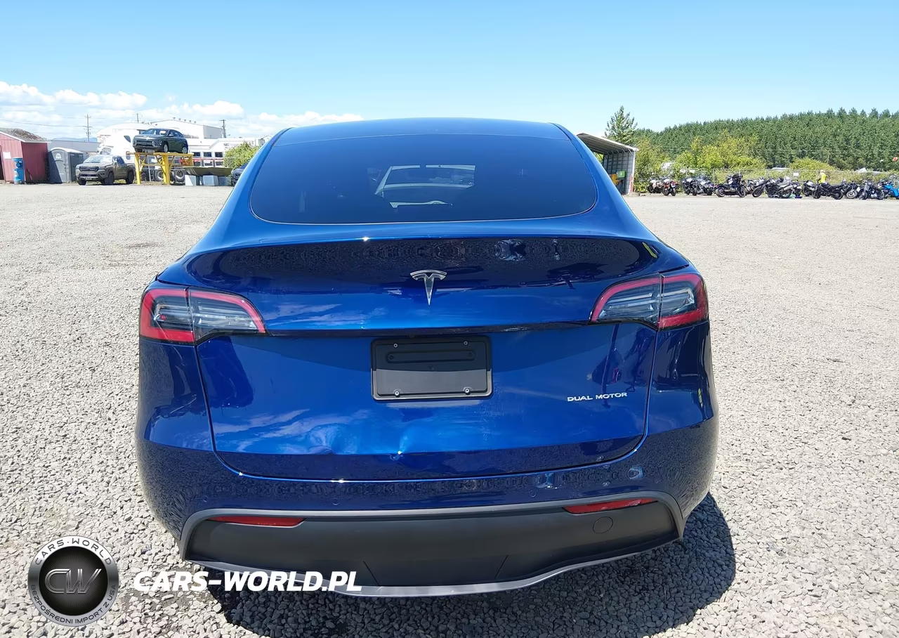 2020 Tesla Model Y Long Range Dual Motor All-Wheel Drive VIN:5YJYGDEE7LF009083 - 17