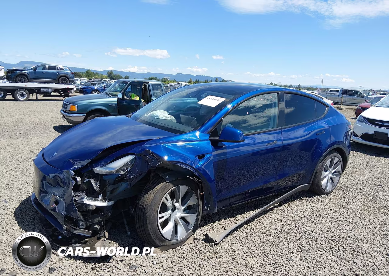2020 Tesla Model Y Long Range Dual Motor All-Wheel Drive VIN:5YJYGDEE7LF009083 - 2