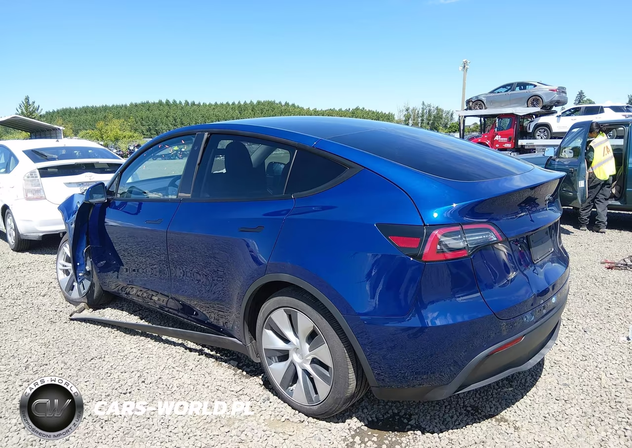 2020 Tesla Model Y Long Range Dual Motor All-Wheel Drive VIN:5YJYGDEE7LF009083 - 3